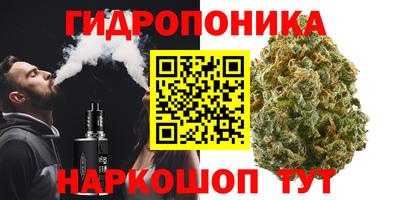 молекула духа Дубна