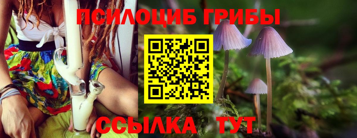 Псилоцибиновые грибы мухоморы Мариинск